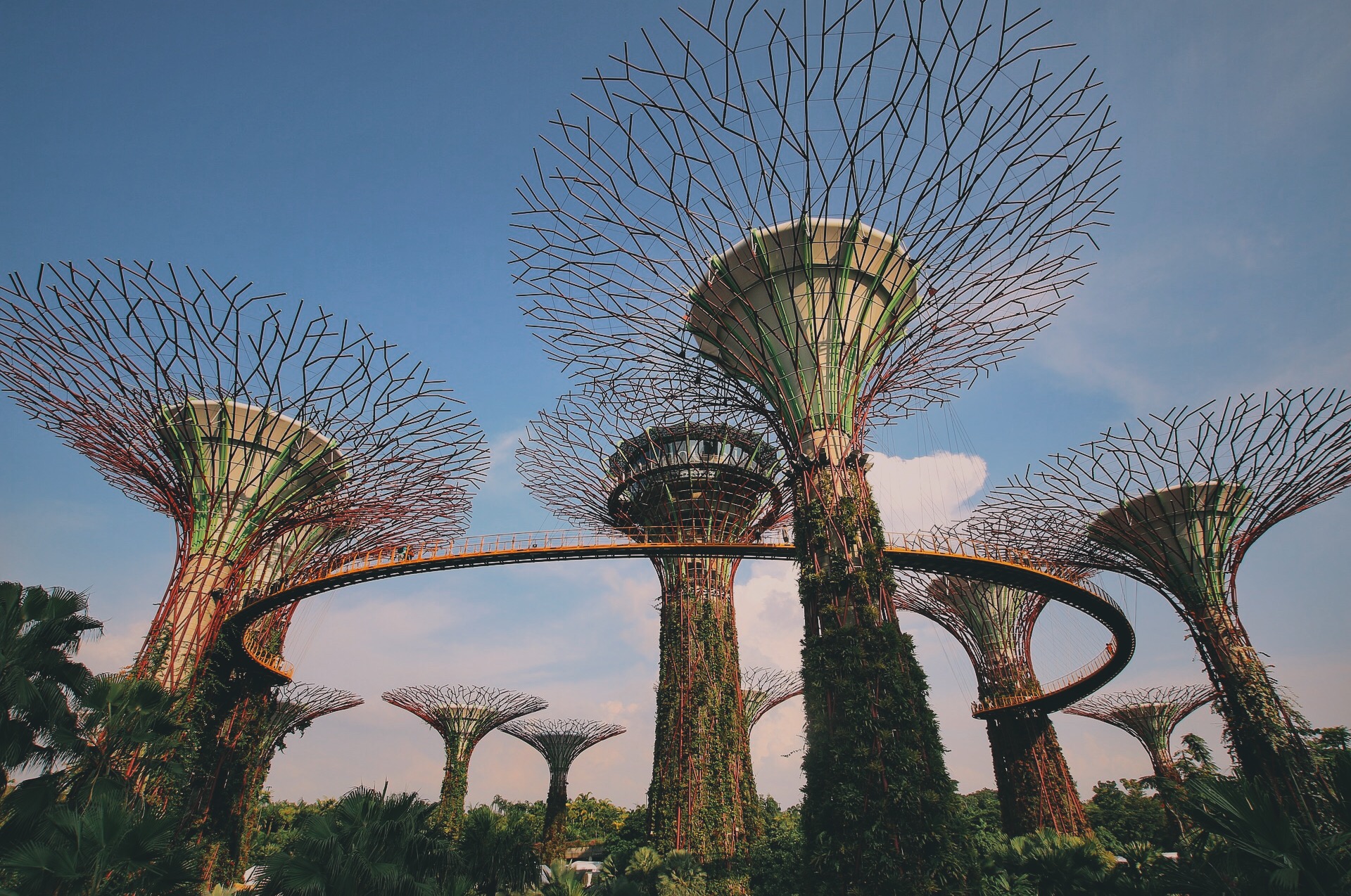Singapur. Nawet w raju wyrosło kiedyś zatrute jabłko