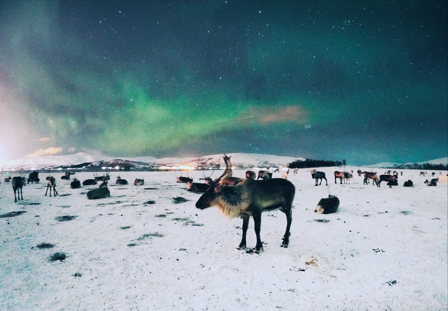 Tromsø i okolice. Norwegia północna zimą – atrakcje i przewodnik