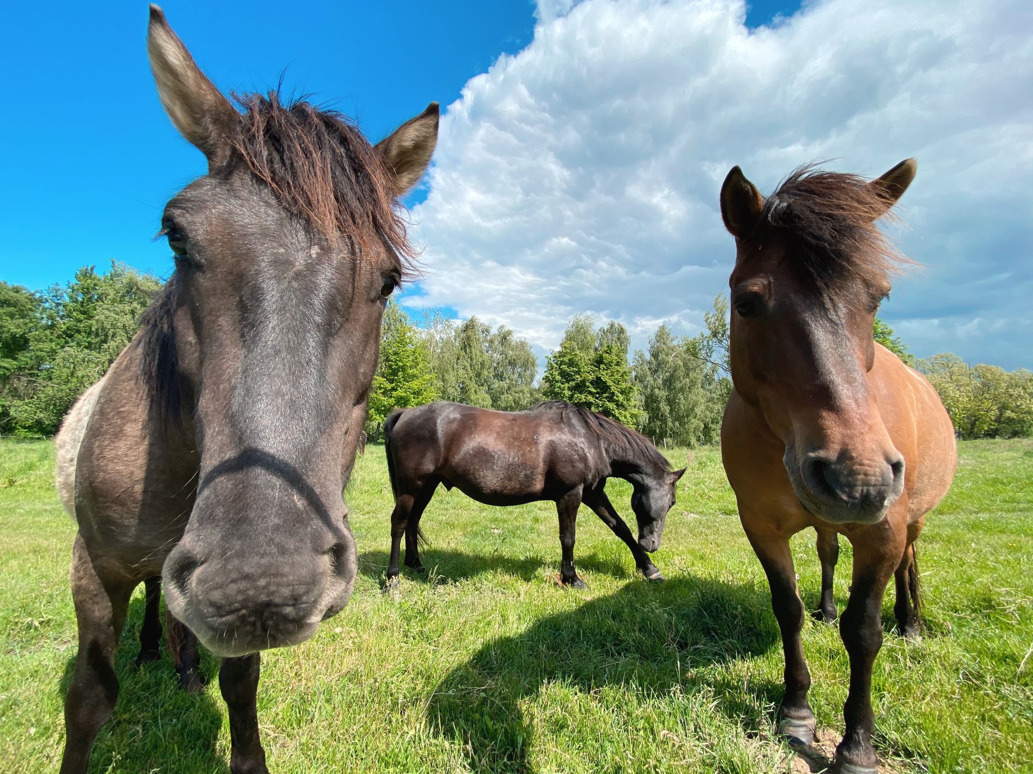 Podkrakowskie wsie i dolinki. Podróże po okolicach Krakowa