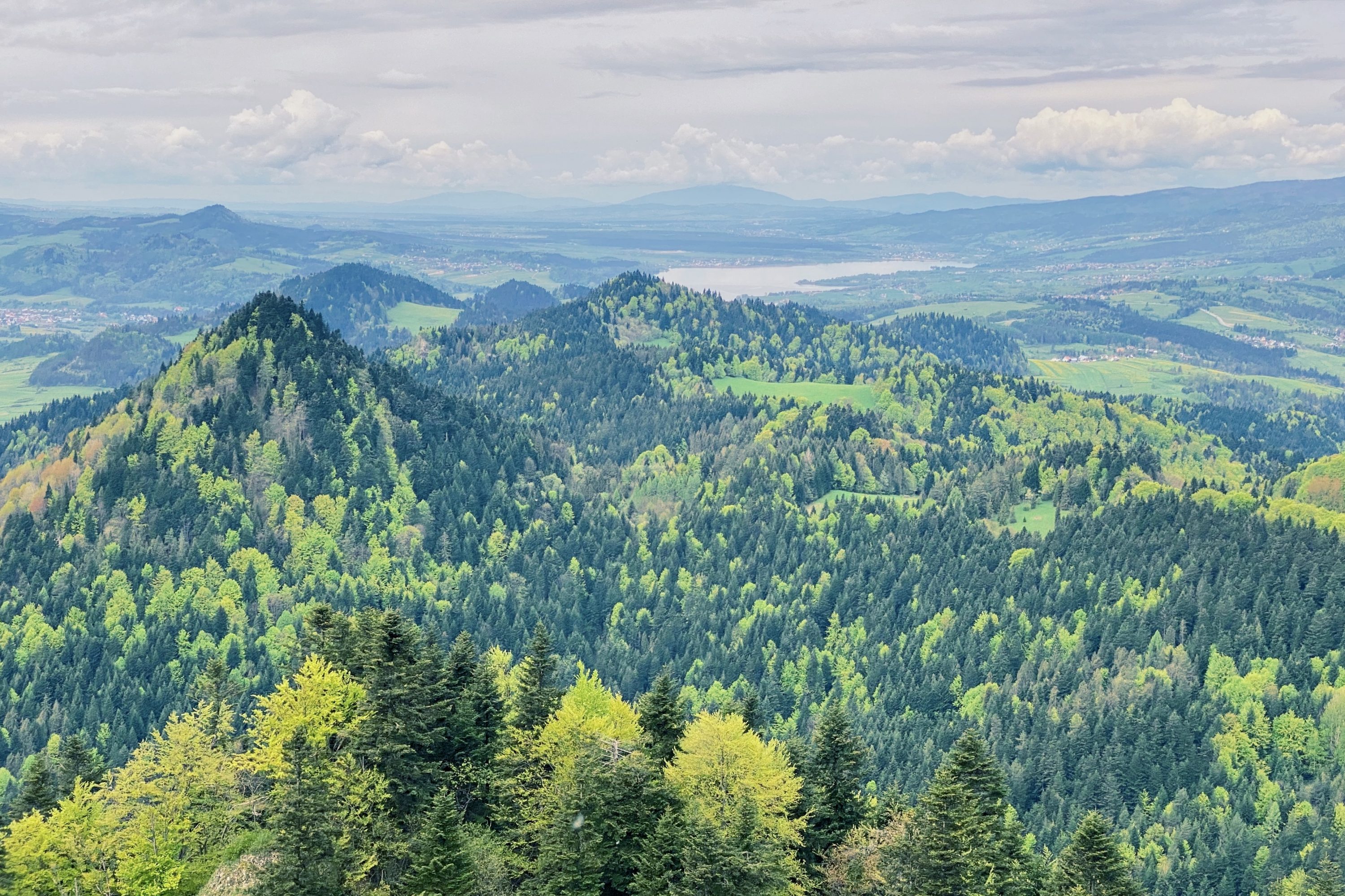 Pieniny. Atrakcje jednego z najpiękniejszych regionów Polski